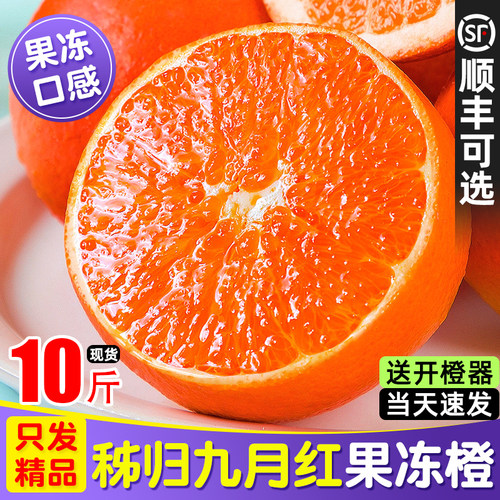 「宇辉推荐」秭归九月红果冻橙