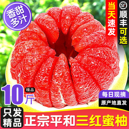 【5A品质】正宗福建平和三红蜜柚