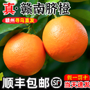 水果 橙子赣南脐橙新鲜10大果斤江西产地直发整箱现摘应季 顺丰 包邮