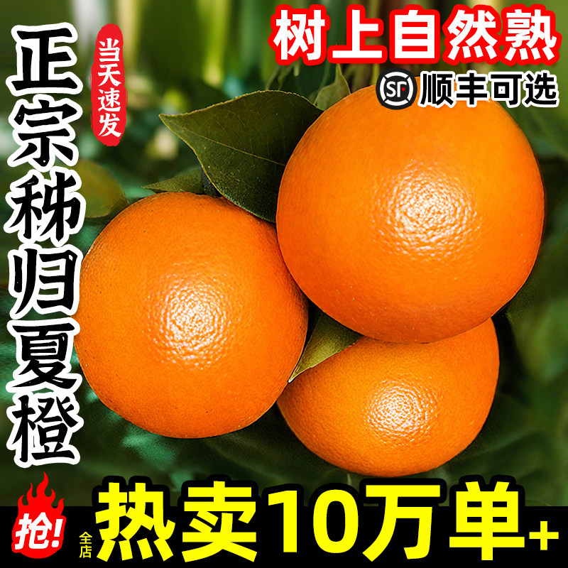 夏橙脐橙湖北秭归鲜橙当季整箱橙子新鲜10斤大果手剥榨汁专用水果