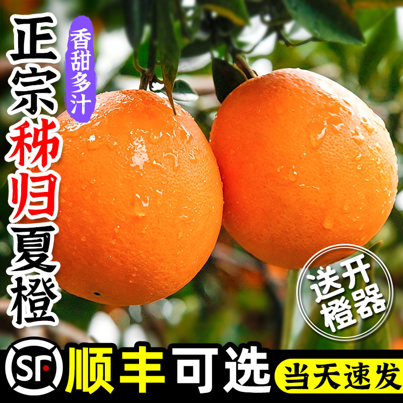 正宗秭归夏橙脐橙新鲜橙子10斤大果榨汁专用当季整箱鲜橙孕妇水果