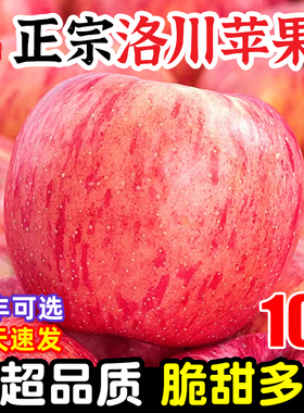 正宗陕西洛川苹果水果新鲜当季整箱2025时令10斤脆甜冰糖心红富士