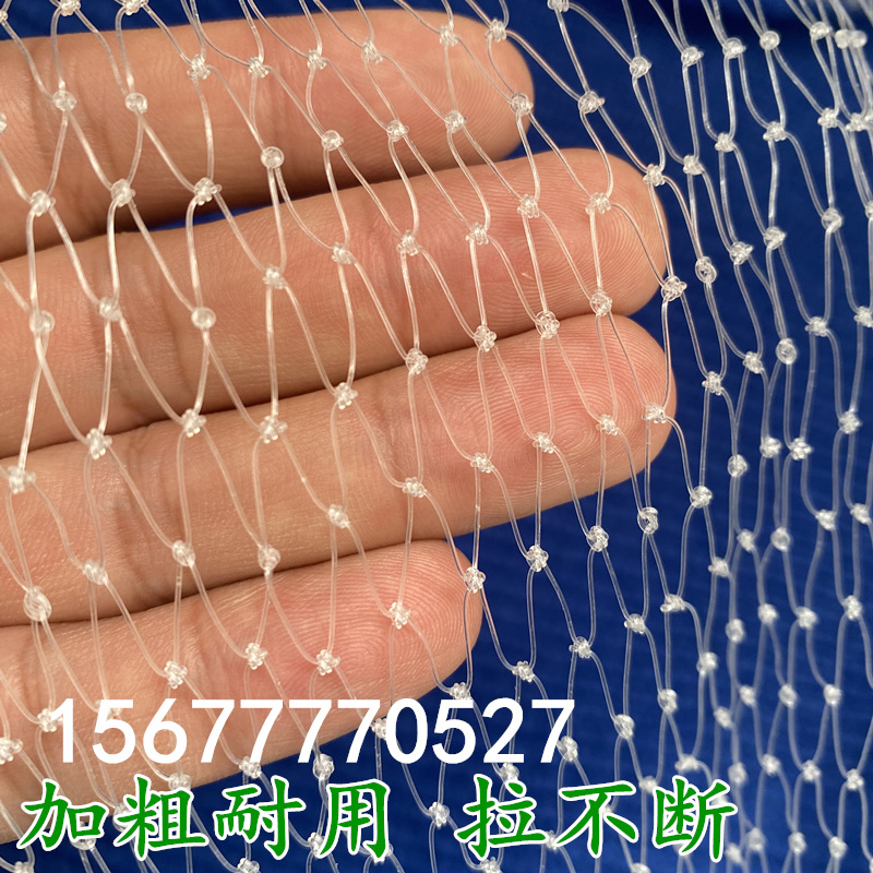 厂家直销果园防鸟网全新料抗老化