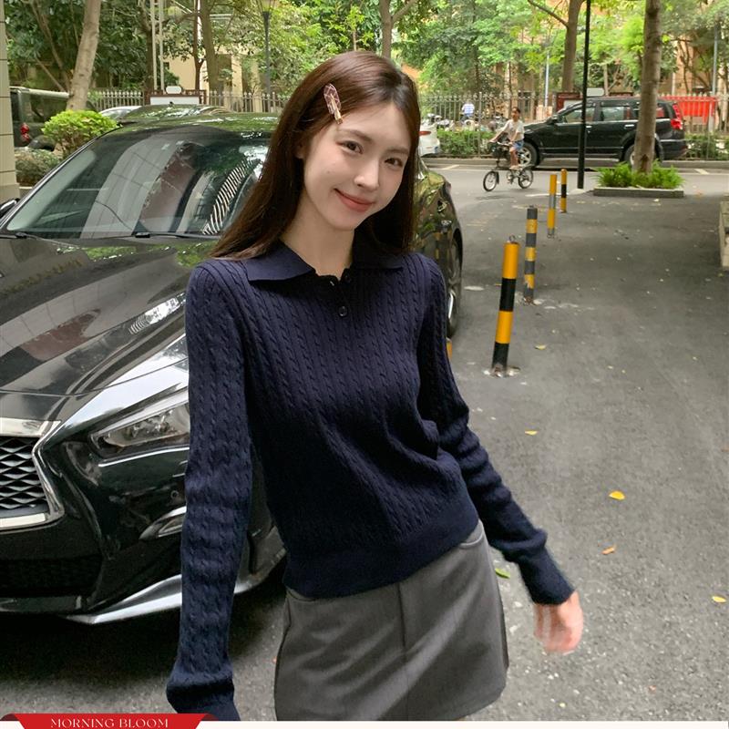 morning bloom覆古翻领麻花针织衫女秋季新款休闲打底衫polo上衣