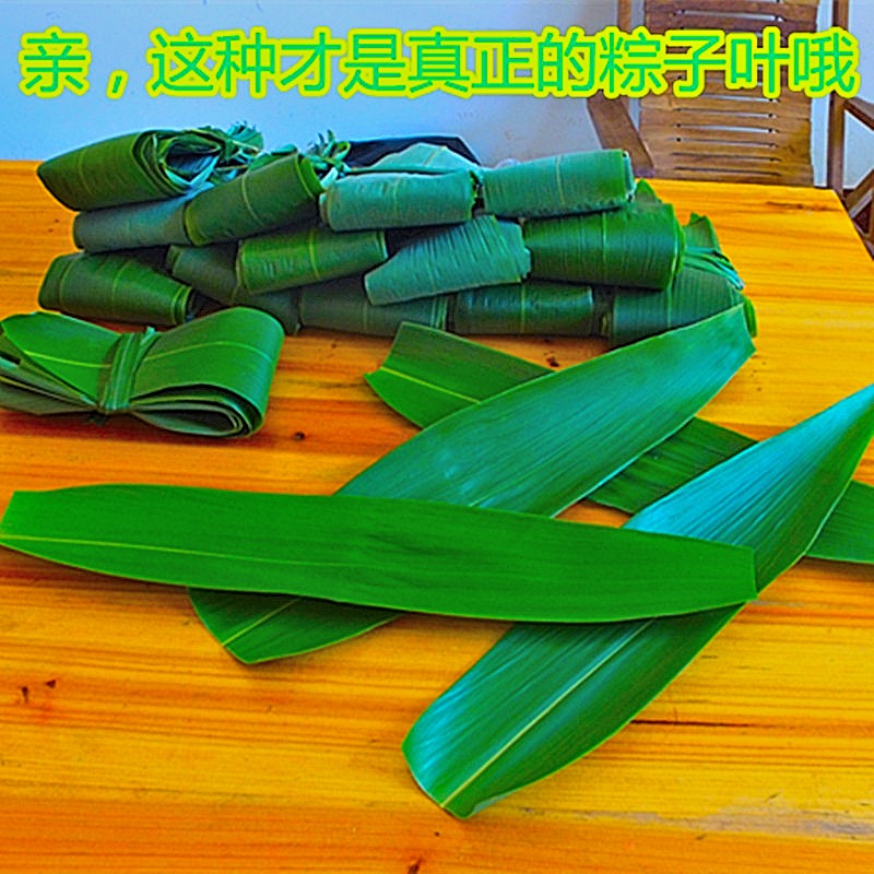 纯天然野生新鲜粽子叶