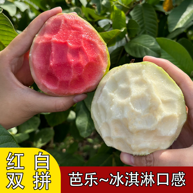 【红白混搭装】广西番石榴奶油芭乐软心糯爆香甜农家果园现摘现发