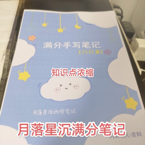 2027考研西医综合考研满分笔记核心考题月落星沉笔记
