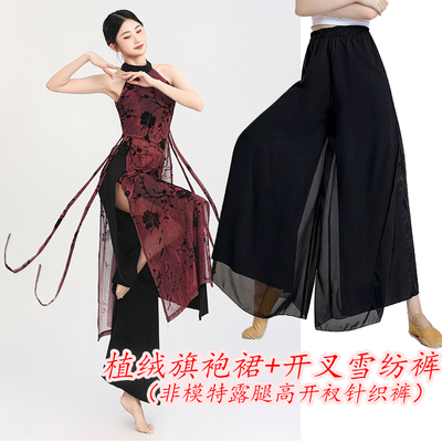 2025新款中国风飘逸旗袍舞蹈服古典舞练功演出服女扇子爵士植绒裙