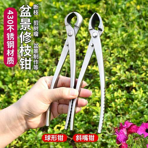 加厚园林不锈钢球切剪盆景剪斜口剪盆景专用工具修剪造型钳枝剪刀
