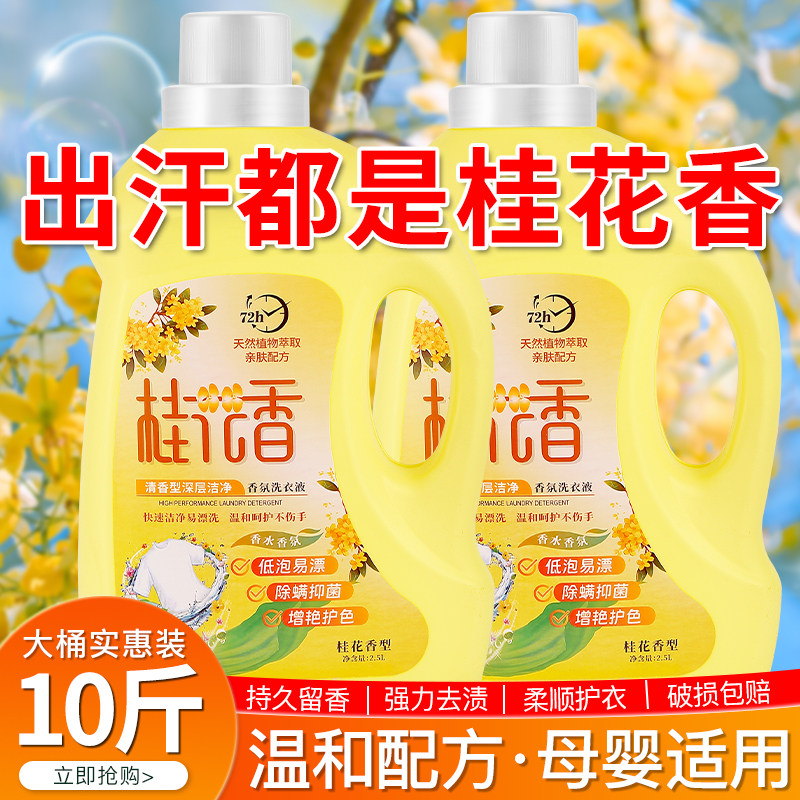 桂花香氛洗衣液男士持久留香72小时香水整箱批家用