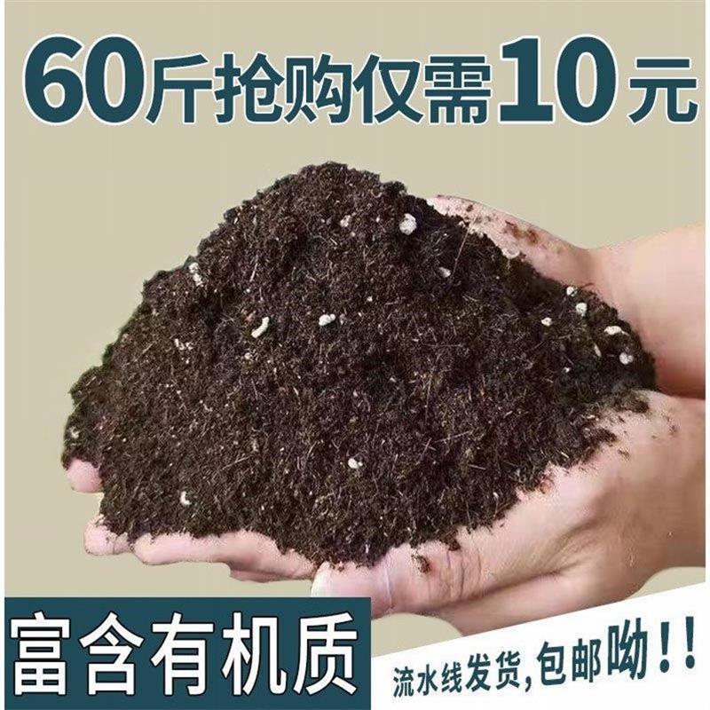 营养土通用60斤养花专用种菜种花土壤有机肥料泥土盆栽通用型 鲜花速递/花卉仿真/绿植园艺 花盆 原图主图