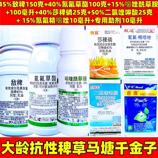 敌稗氰氟草酯噁唑酰草胺精噁莎稗磷大龄抗性青稗草千金水稻除草剂