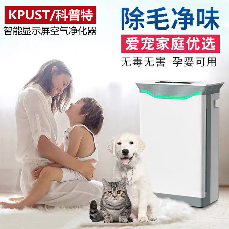 宠物家庭负离子空气净化器