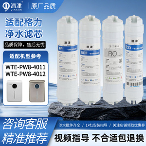 适配格力净水器滤芯WTE-PW8PG8-4011/4012/13/16/21/22/5031/5033
