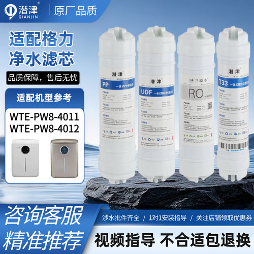 适配格力净水器滤芯WTE-PW8PG8-4011/4012/13/16/21/22/5031/5033