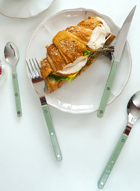 sabreparis法式餐具高级不锈钢牛排餐具刀叉套装勺子家用叉子绿色