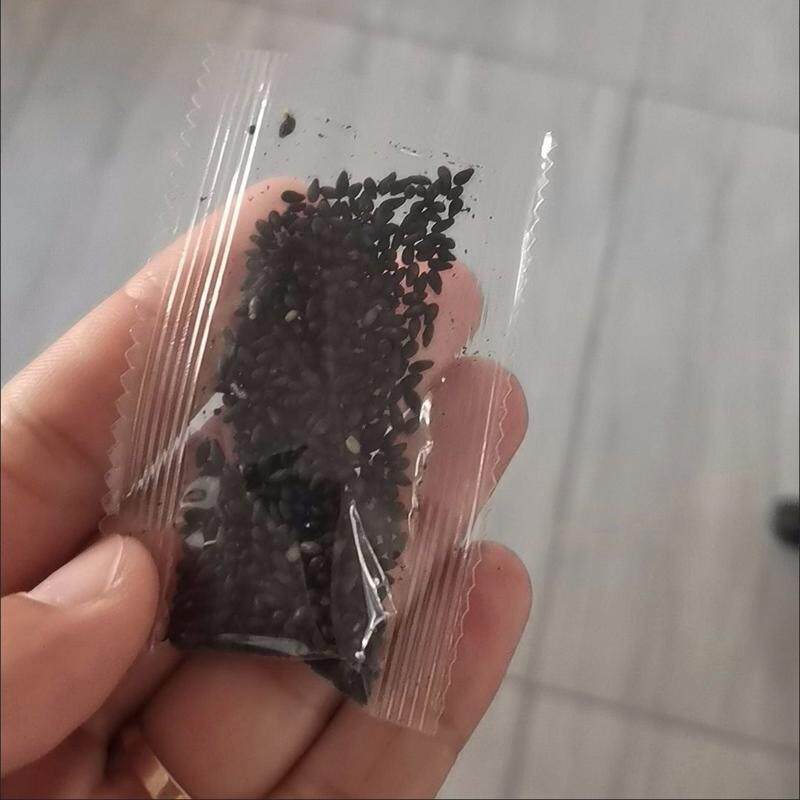 炒熟黑芝麻即食免洗五谷杂粮农家优质孕妇家用零食小包装