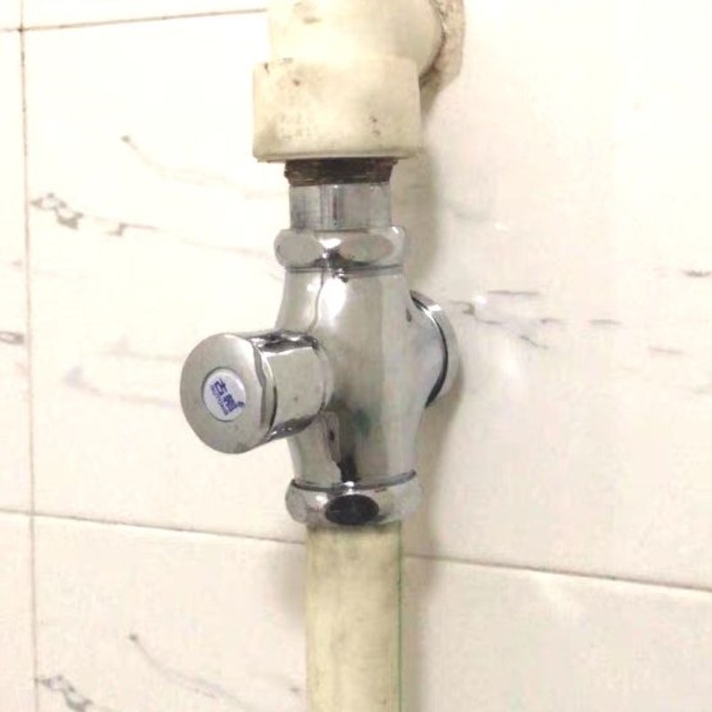 阀门开关厕所延时按压式手按蹲便器全铜体冲水阀大便冲洗阀小便.