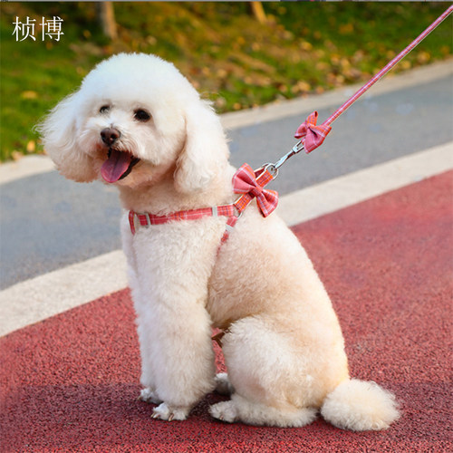 桢博狗狗牵引绳小中型犬背心式