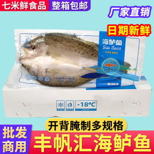 丰帆汇开背海鲈鱼新鲜清蒸纸包鱼烤鱼白蕉鲜活水产商用半成品整箱