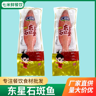新鲜冷冻全红东星斑鱼石斑鱼海鲜水产鲜活冷冻东星斑商用批发饭店