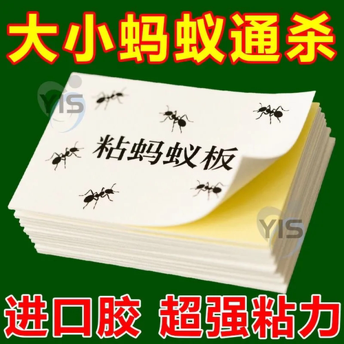 强力粘蚂蚁板高效捕捉神器大小蚂蚁通杀无处逃室内外通用无毒无害