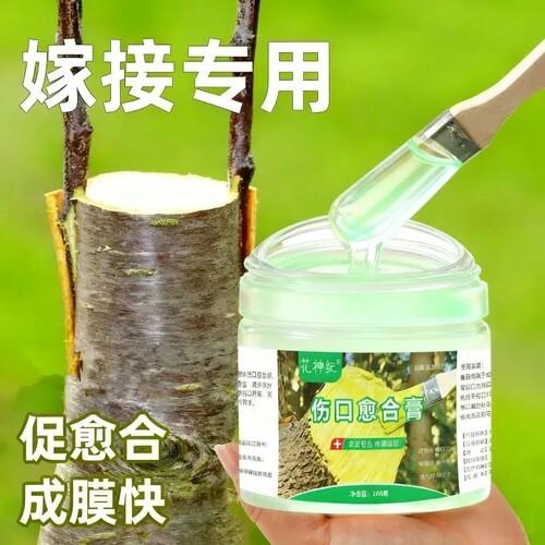 园林通用树木伤口愈合封口膏