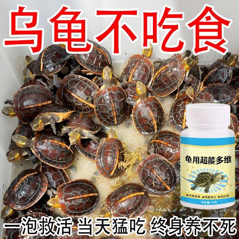乌龟多维维生素不爱吃饭常备药
