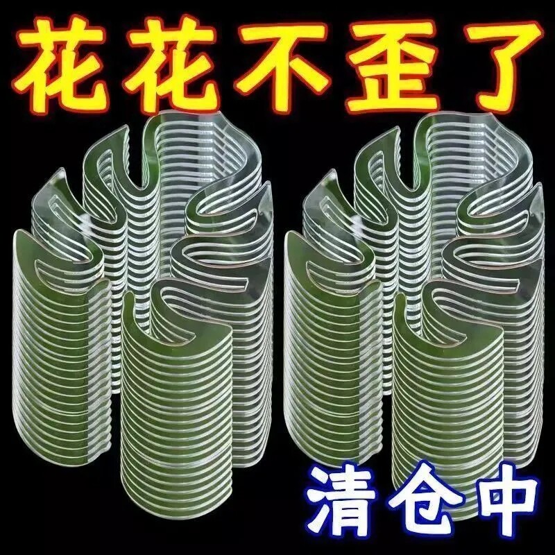 绿植防倒伏专用支架龟背竹花卉收拢固定扶正防弯折架子龟背竹塑形