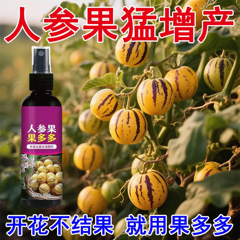 人参果营养液家庭专用强效催花授粉防落果挂满枝花多果壮爆果神器