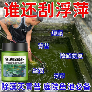 除藻粉去苔除藻鱼缸酵素清水剂锦鲤鱼池净化水质水族绿藻专用神器