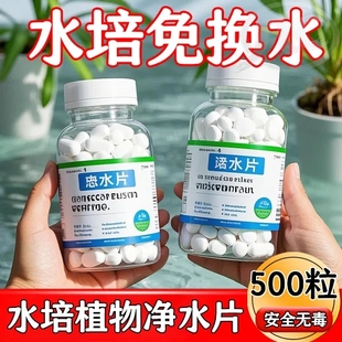新款水培植物净水片营养液营养片防臭水促生根爆氧浑水碗莲净水片