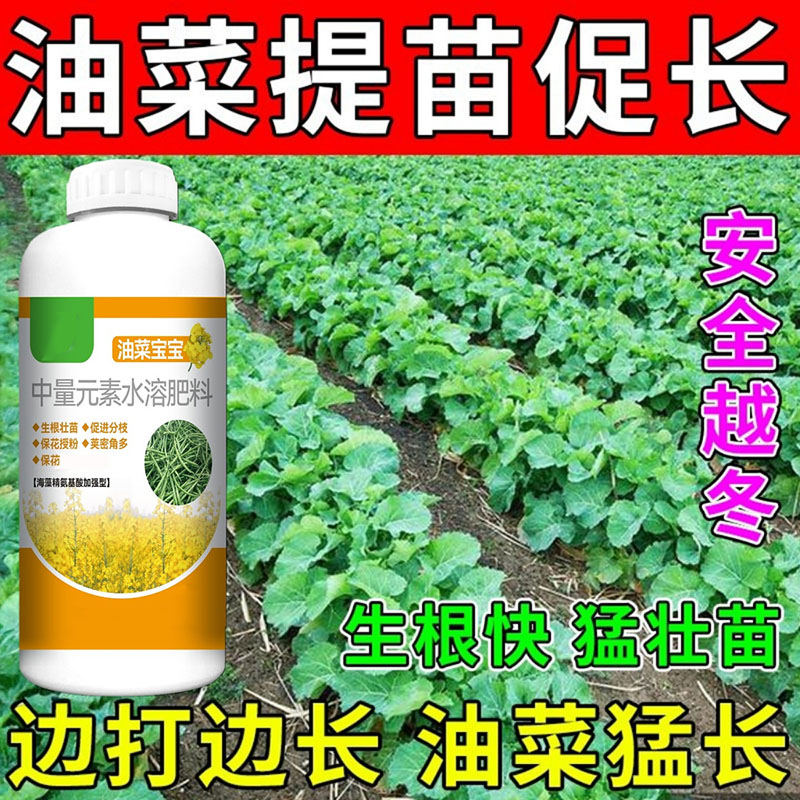 油菜宝宝提高出油率促花授粉抗倒伏籽粒饱满油菜专用水溶叶面肥