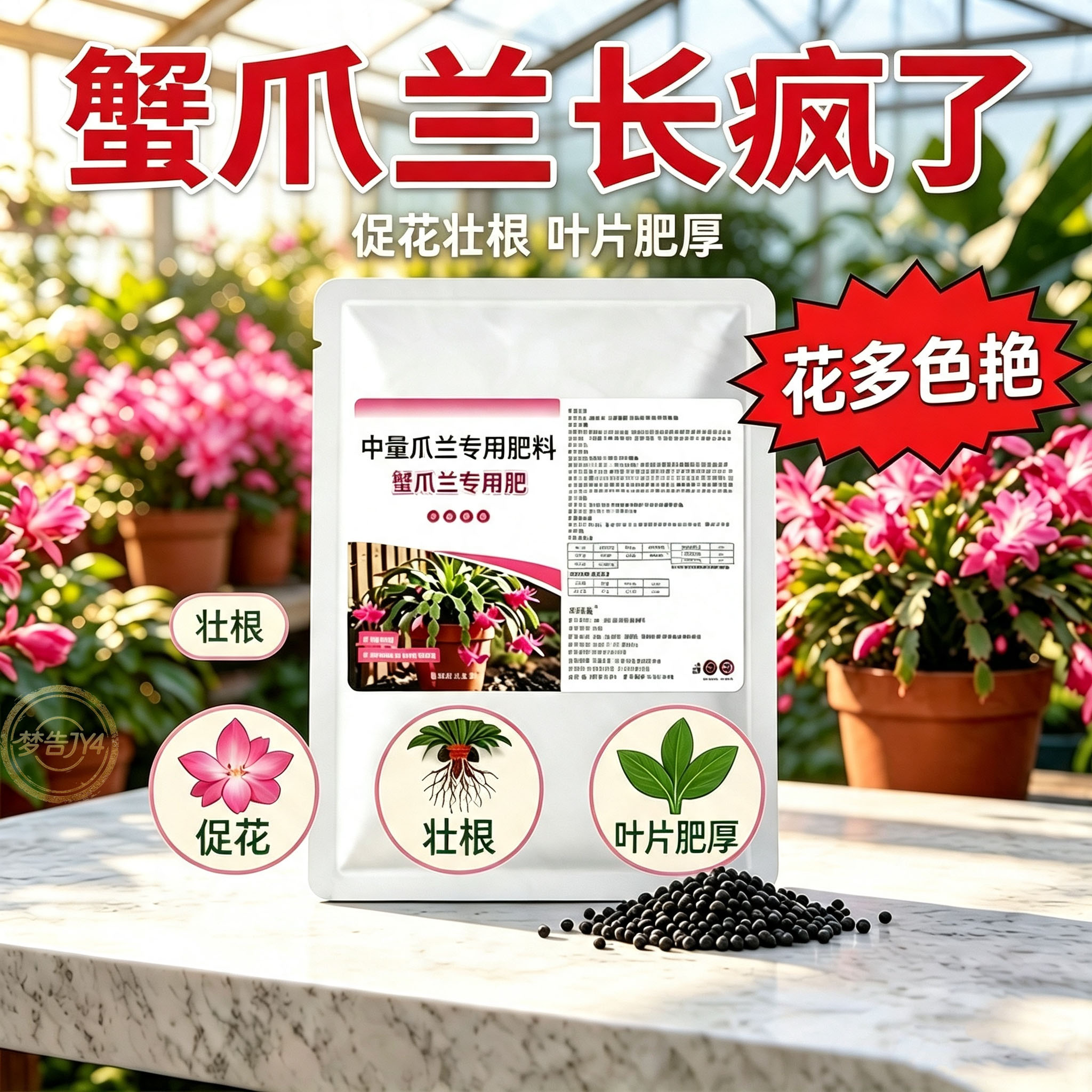 蟹爪兰专用营养肥四季开花