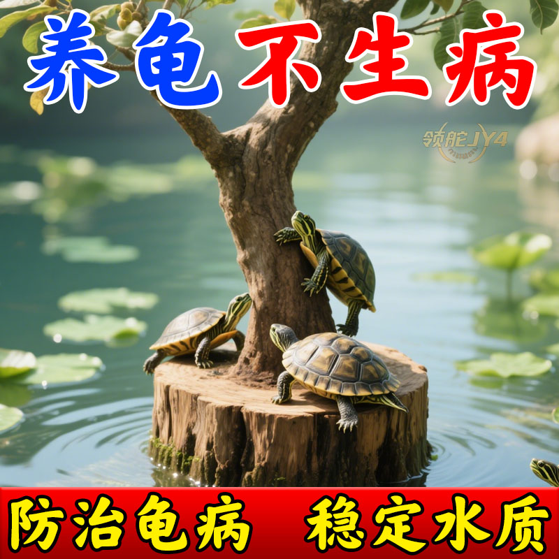 乌龟龙眼木送龙眼叶净水神器治腐皮烂甲预防龟病改善水质龟龟饲料