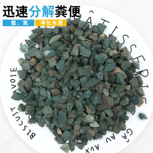 吸氨沸石水族箱吸附氨气水质稳定保护鱼缸过滤材料包邮