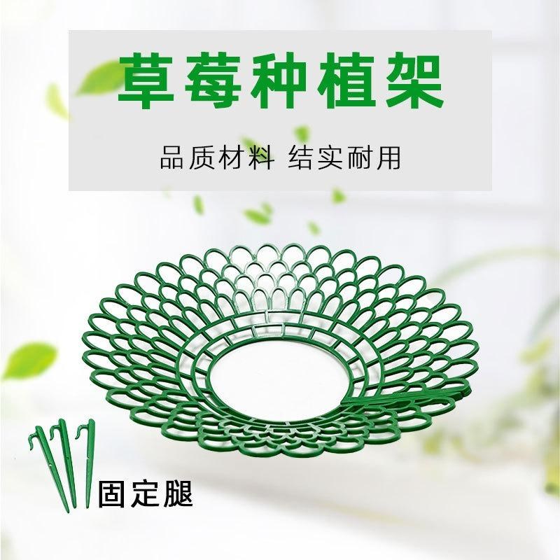 黑色草莓支架托果网架方形草莓盆栽种植架子花架家庭秧苗支撑架