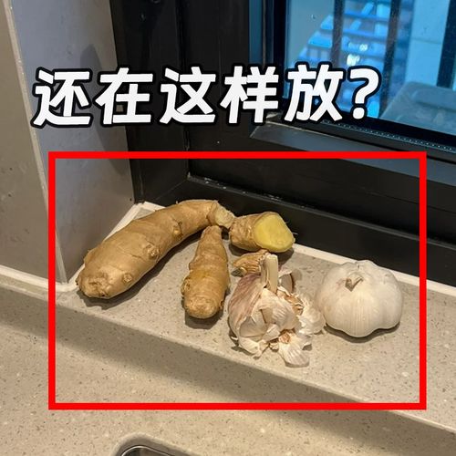 厨房葱姜蒜收纳筐吸盘置物架壁挂式调料架神器菜篮子文化创意餐具