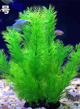 鱼缸里面的装饰品仿真水草水族造景假水草柔软水草花塑料水草绿色