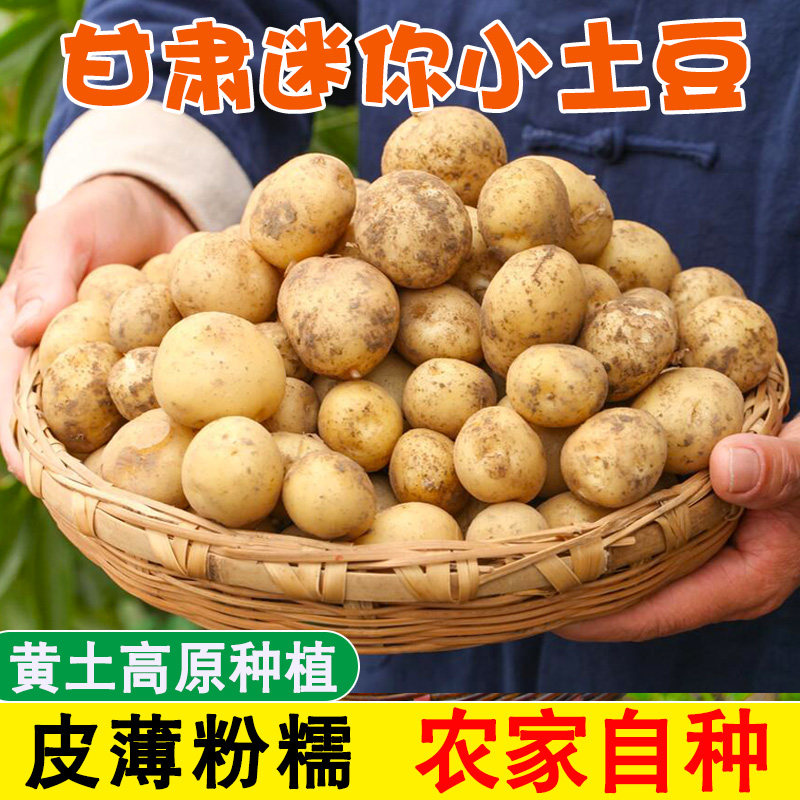 定西沙面小土豆当季新鲜黄心洋芋