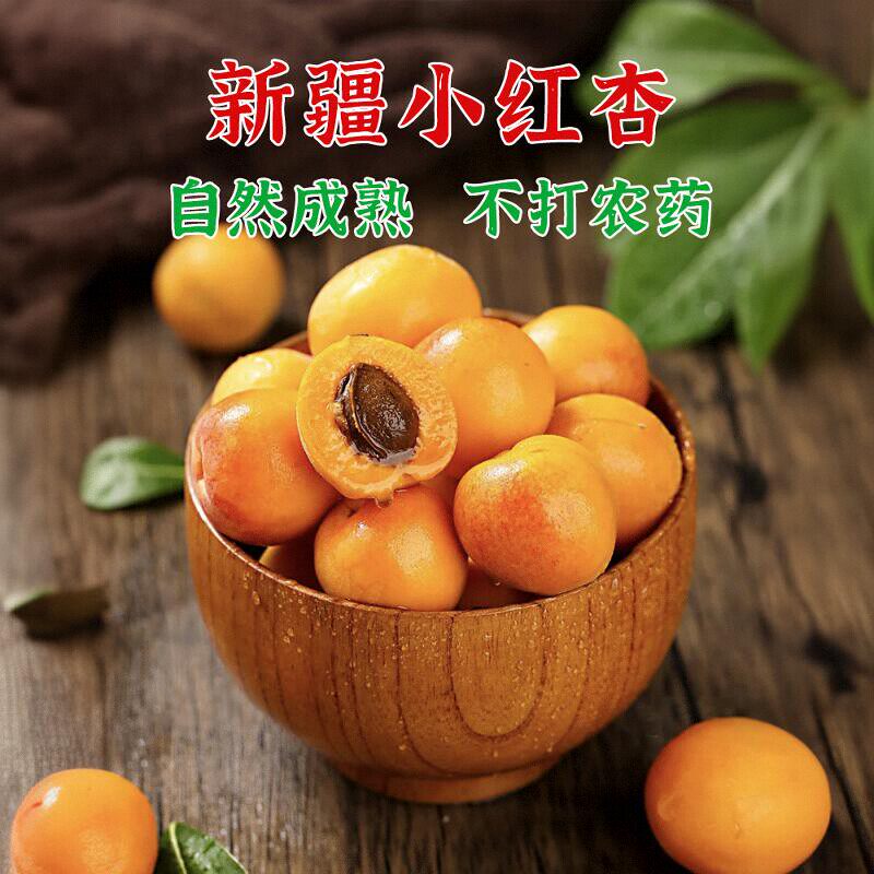 新疆阿克苏小红杏爆甜