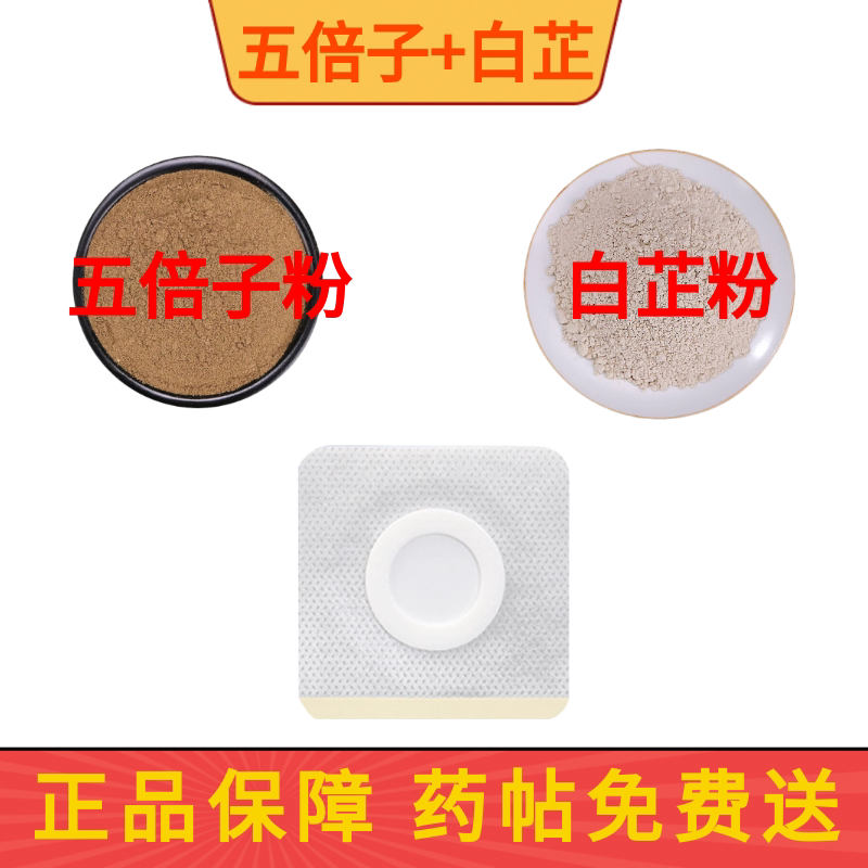 五倍子粉白芷粉外敷中药材正品送肚脐贴 现磨超细粉