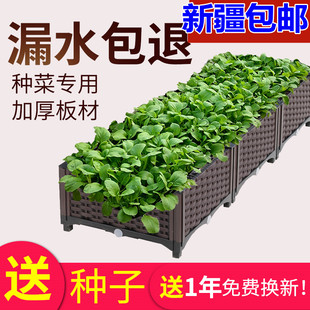 包邮 新疆 阳台种菜神器家庭蔬菜种植箱塑料楼顶专用花盆长方形花箱