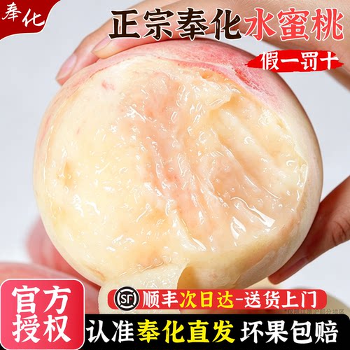 【顺丰空运】正宗奉化水蜜桃白凤湖景玉露浙江宁波新鲜孕妇小孩可