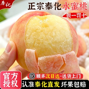官方授权【顺丰空运】正宗奉化水蜜桃白凤湖景玉露浙江宁波新鲜孕