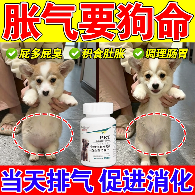 狗狗肚子大积食胀气不消化专用益生菌调理肠胃开胃助消化增强食欲