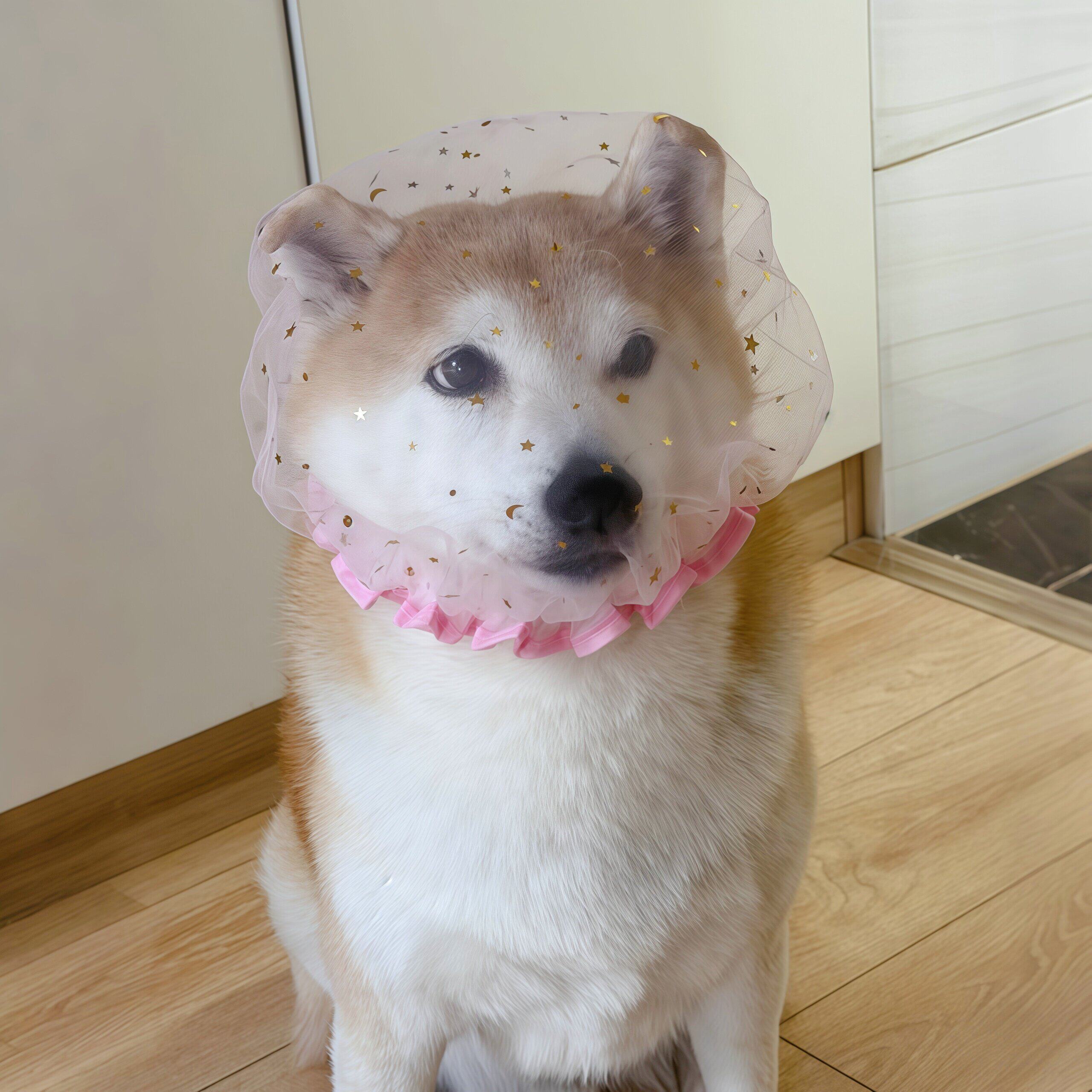 柴犬日常|狗狗防误食头纱外出嘴套面罩面纱狗狗头套透气中小型犬