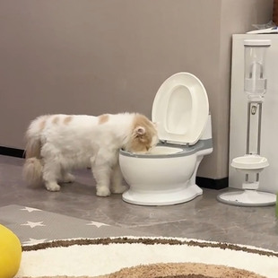创意马桶猫碗大口径不易打翻宠物盆饮水器大容量仿真坐便器喝水