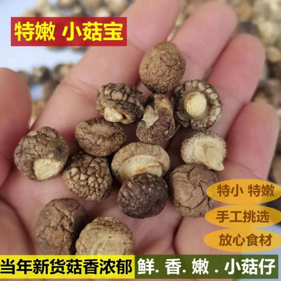 小香菇新货农家珍珠菇新鲜小菇干货迷你一厘米花生米家用超小商用