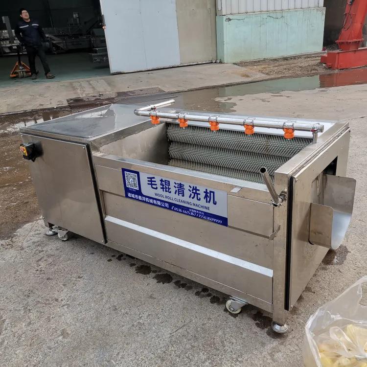 小型毛辊清洗脱皮机生姜洋葱清洗去皮机全自动果疏清洗设备
